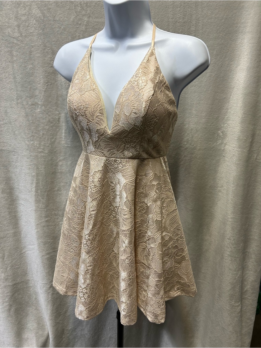 NWT Windsor Lace Fit-and-Flare Mini Dress in Nude Beige